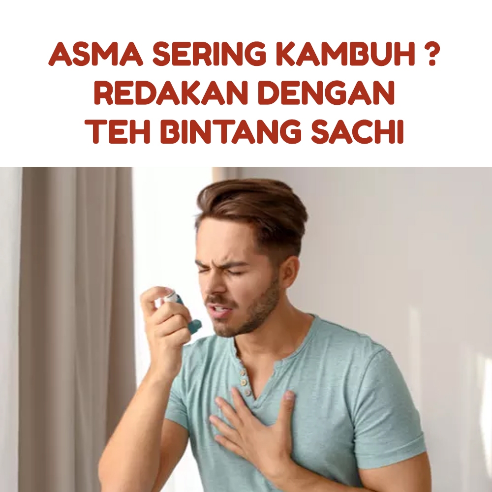 

Jual Herbal Pereda Asma Teh Bintang Sachi