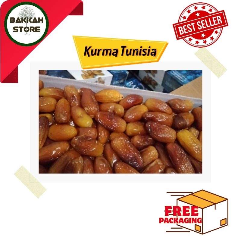 

KURMA TUNISIA NON TANGKAI