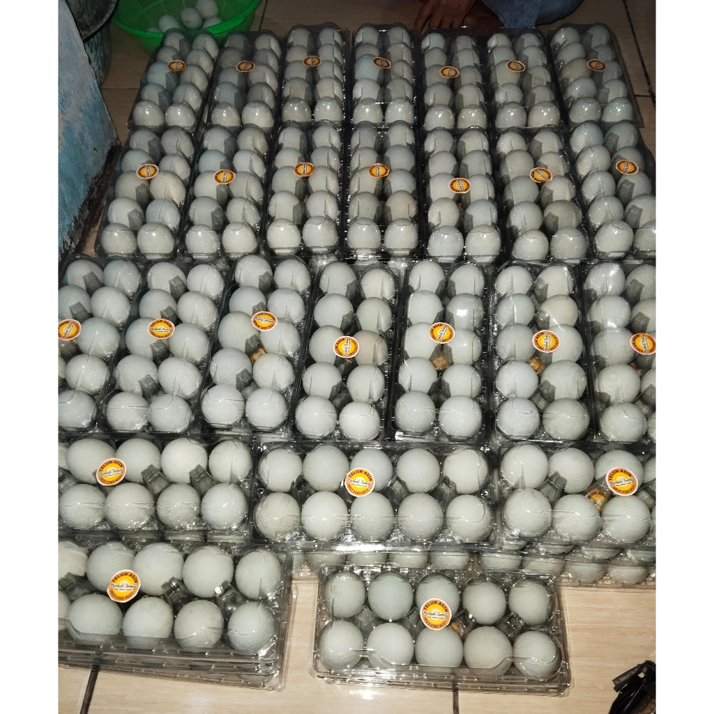 

Telur Asin Berkah Family Masir Matang Kualitas Premium Fresh Grade B Home Made