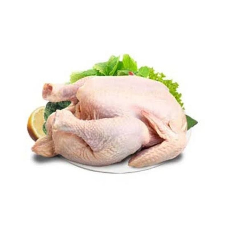 

Ayam broiler frozen 300gram /ayam murah/ayam potong/ayam broiler Harga 14.000