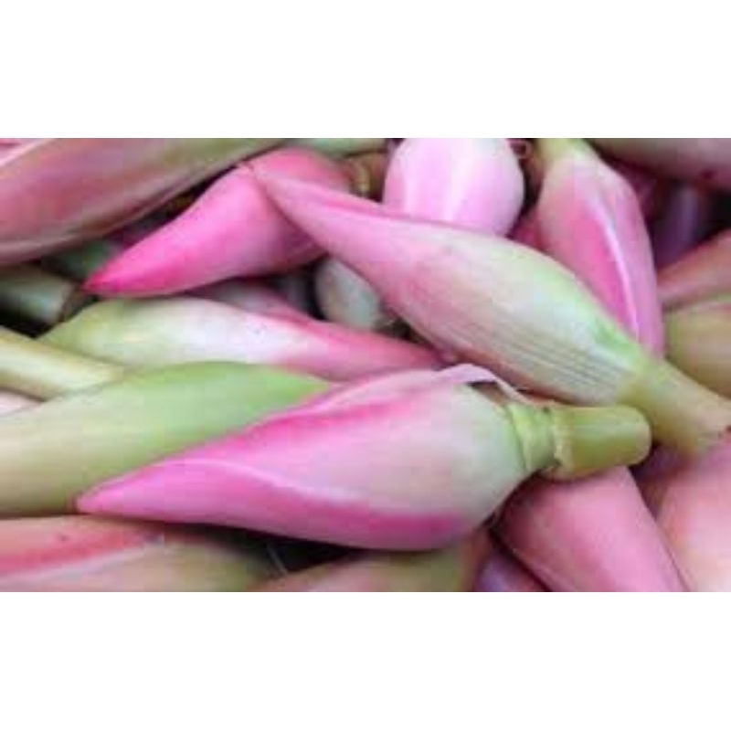 

kecombrang atau kincing per 2 pcs