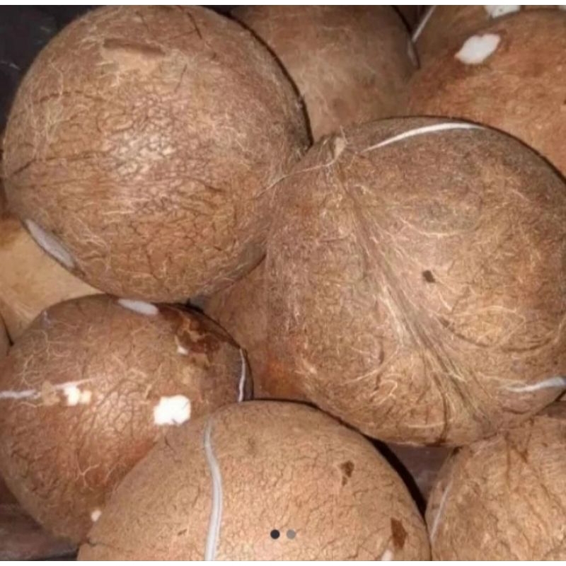 

buah kelapa kupas utuh per/satu buah