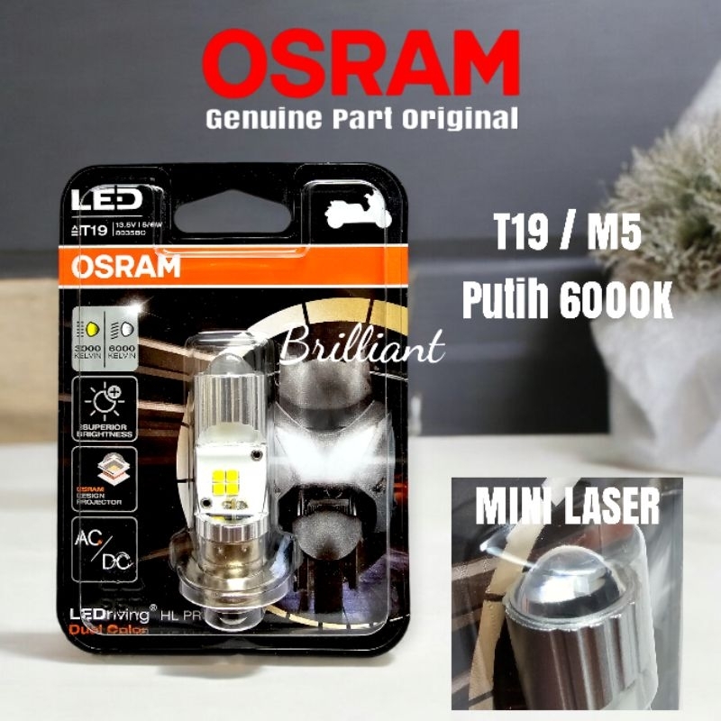 Lampu Motor LED OSRAM - M5 / T19 - Putih / Kuning