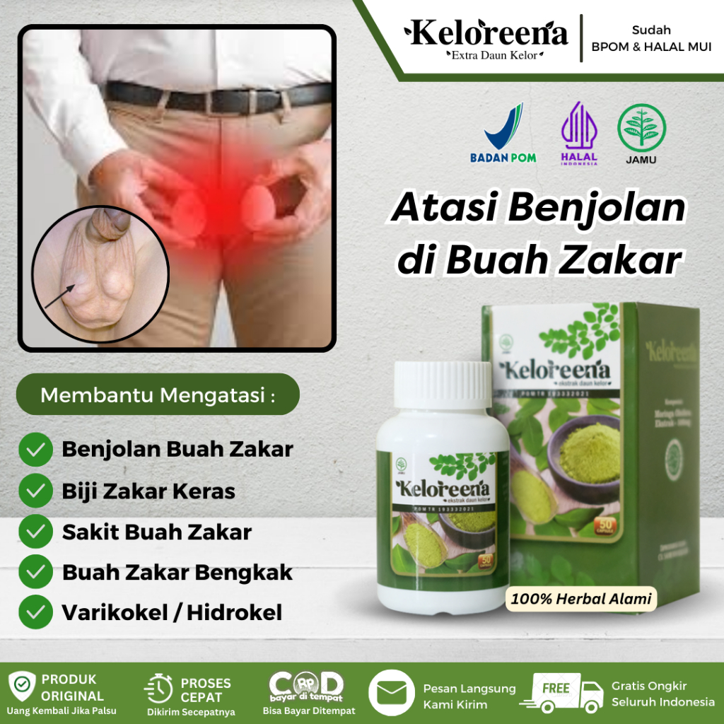 Obat Benjolan di Buah Zakar, Varikokel, Biji Zakar Keras, Benjolan Kecil Di Bawah Kantung Buah Zakar