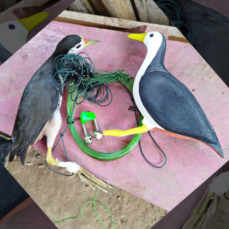 Paket lengkap Jerat dan Boneka patung burung ruak ruak / ayaman kreo padi, wak wak, truwok