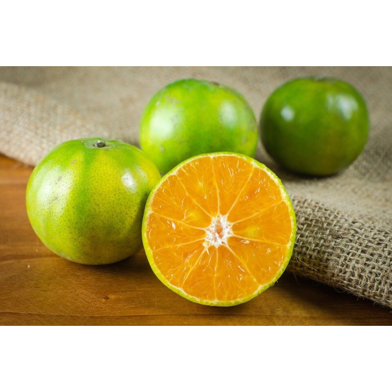

JERUK MANIS 1KG