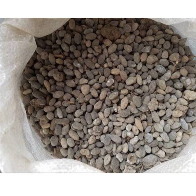 pupuk kandang kambing 1kg