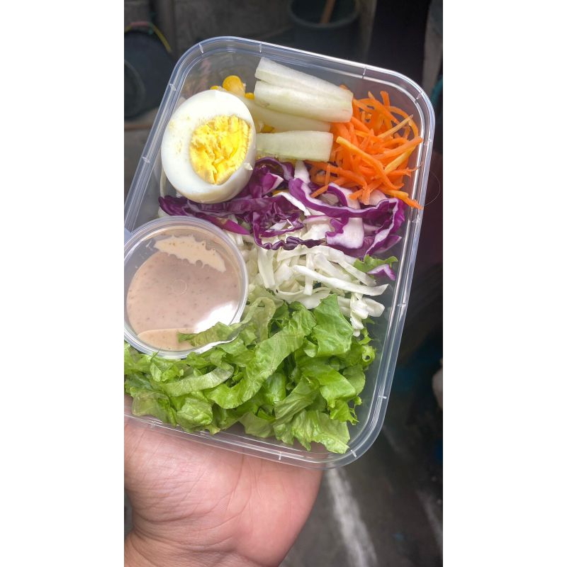 

salad sayur 500ml termurah fresh instan only