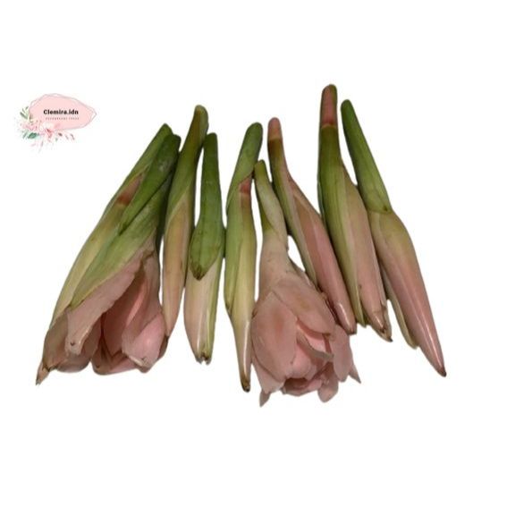 

KECOMBRANG HONJE MEDAN PINK 1 KG PREMIUM