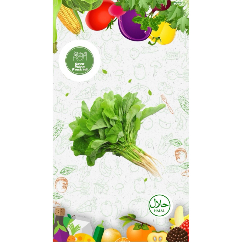 

sayur bayam