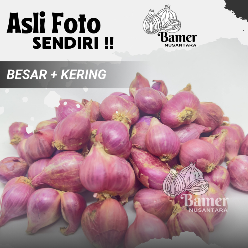 

Bawang Merah 500 Gram 1/2 KG Kering Bamer Probolinggo Kering Kualitas Super Jumbo Sedang Campuran Premium 1 KG Murah Kediri Gratis Ongkir Gram Gr