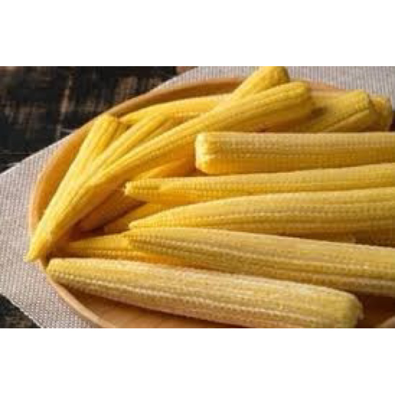 

jagung semi / jagung mini