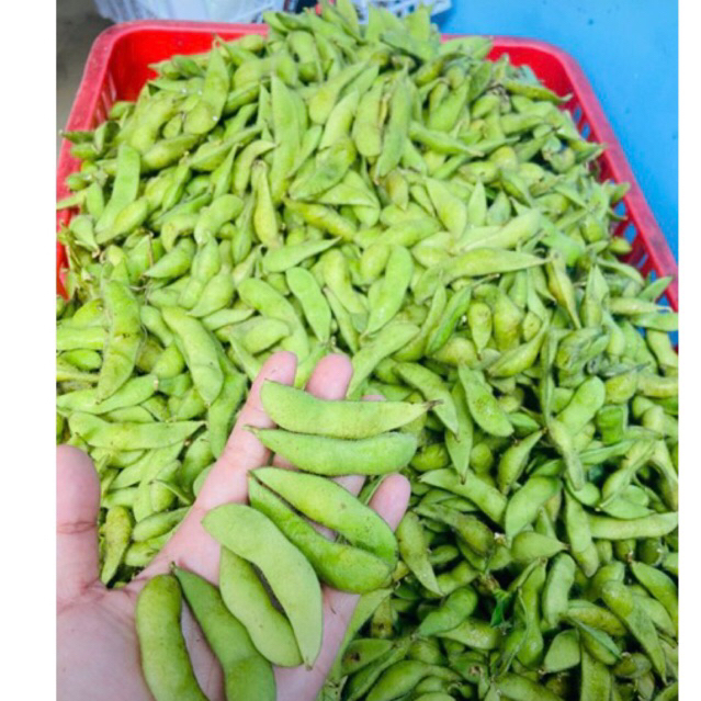 

Edamame