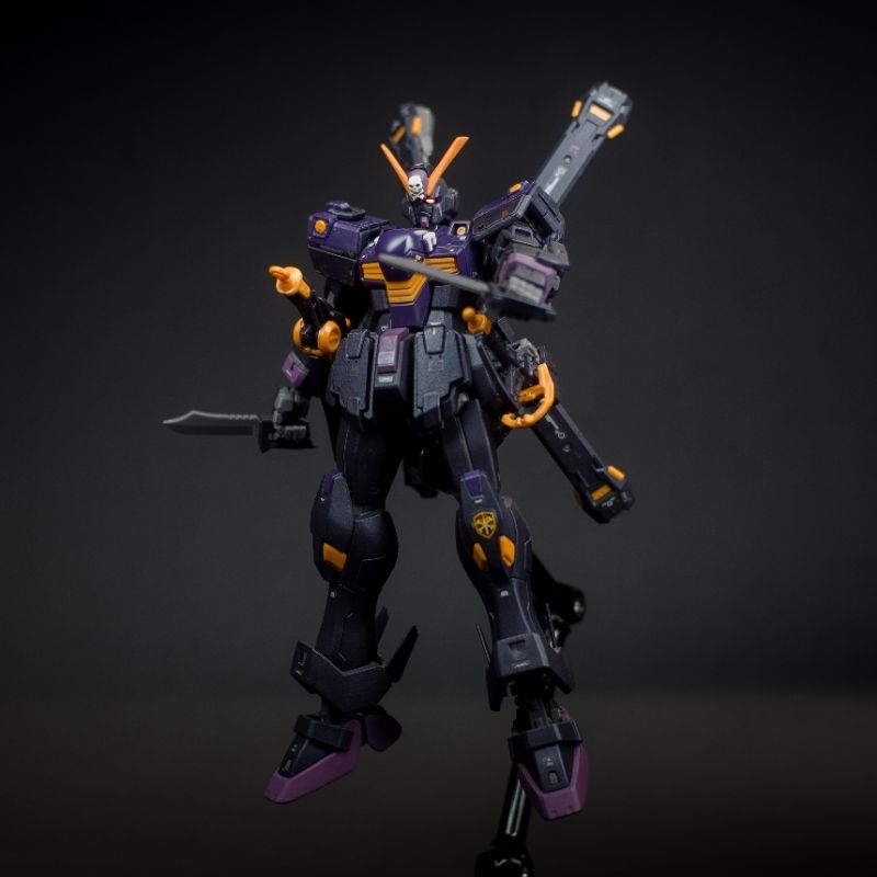 RG Gundam Crossbone X2 Custom Bandai Not MG HG