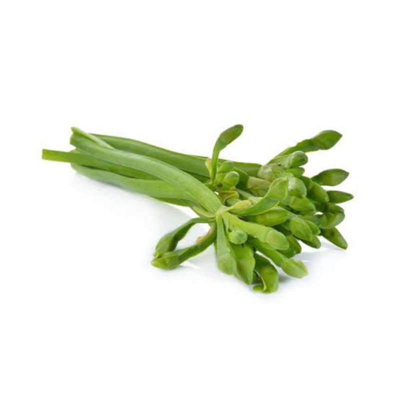 

KEMBANG GENJER 1 IKAT