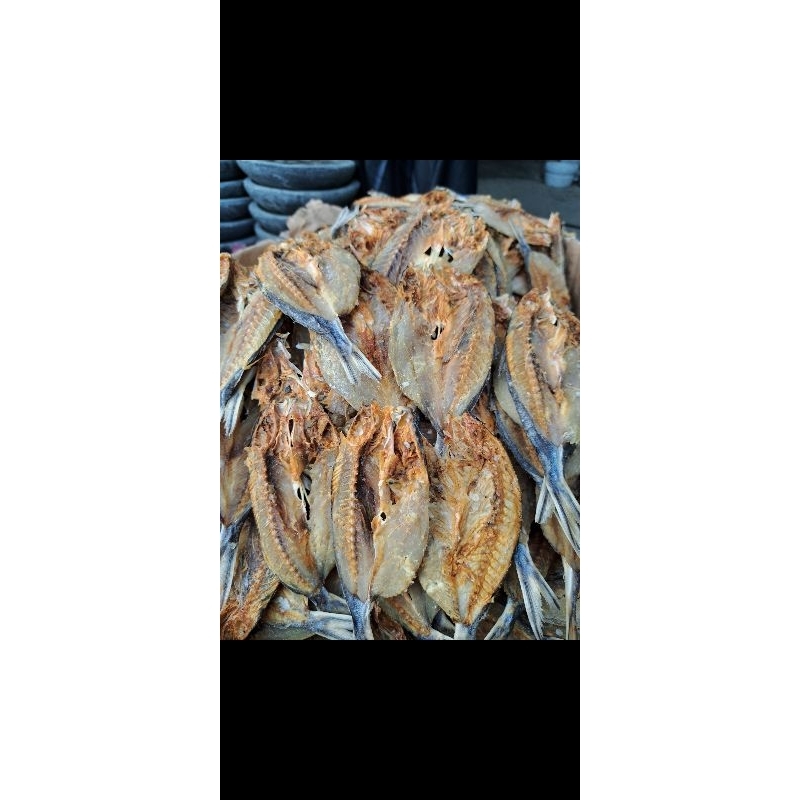 

ikan kering rapo2/lolosi
