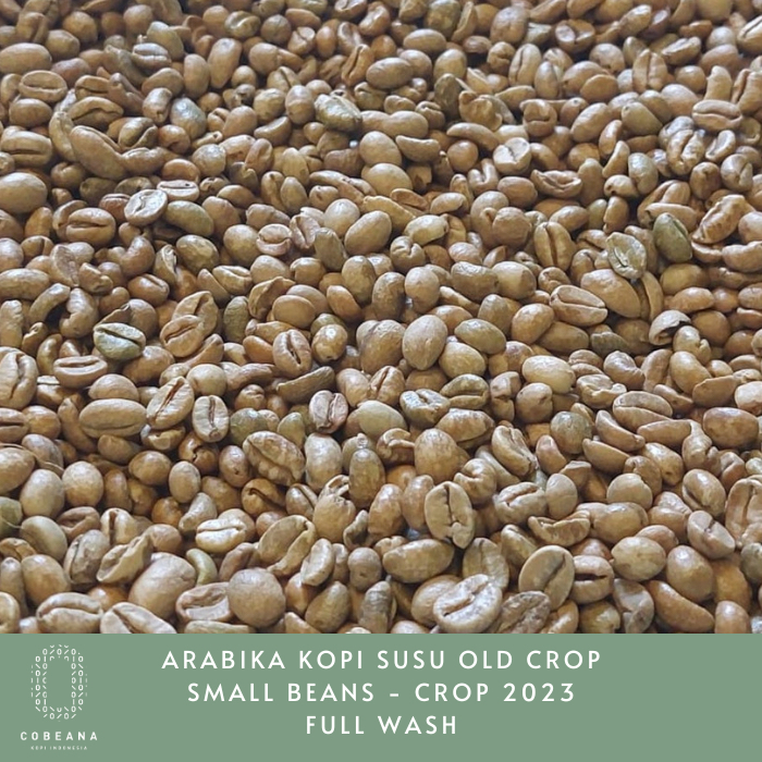 

BIJI KOPI ARABIKA KOPI SUSU SMALL BEANS 1 KG BIJI MENTAH GREENBEAN Cobeana Kopi Indonesia