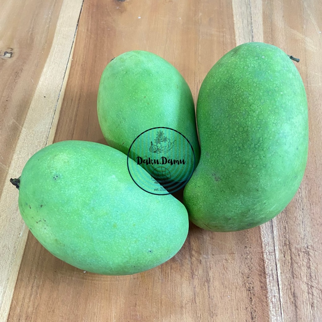 

Mangga Harum Manis 1 - 1,3 Kg