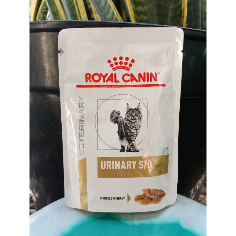 Royal Canin Urinary S/O wet food