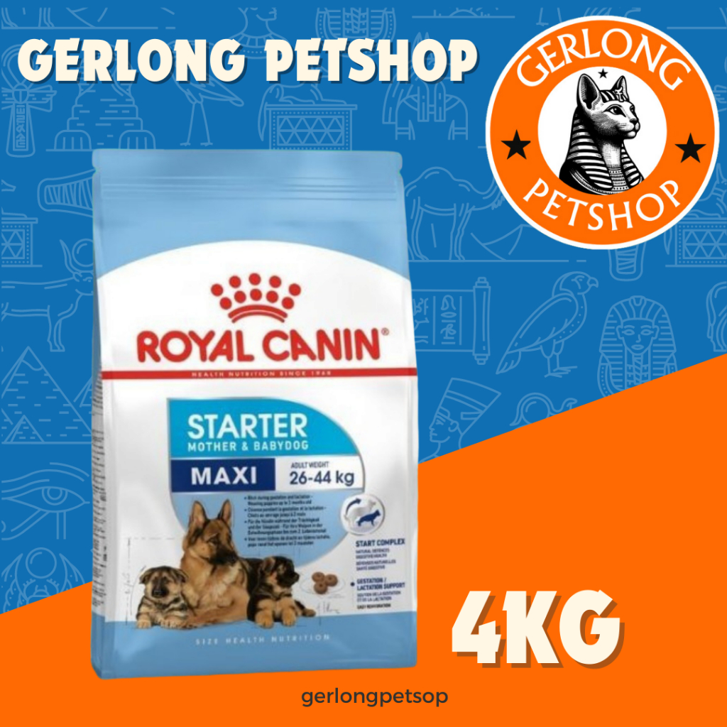 Royal Canin Maxi Starter 4kg