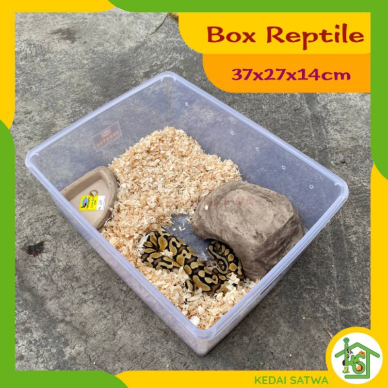 Box Reptil Kandang Ular Gecko