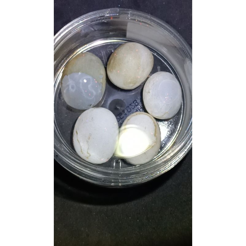 Batu Kalimaya Susu Asli Banten , Ful Jarong Atas Bawah