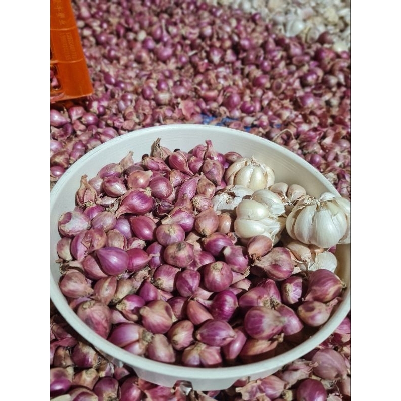 

bawang merah kecil 1kg tambah bawang sinco 250g