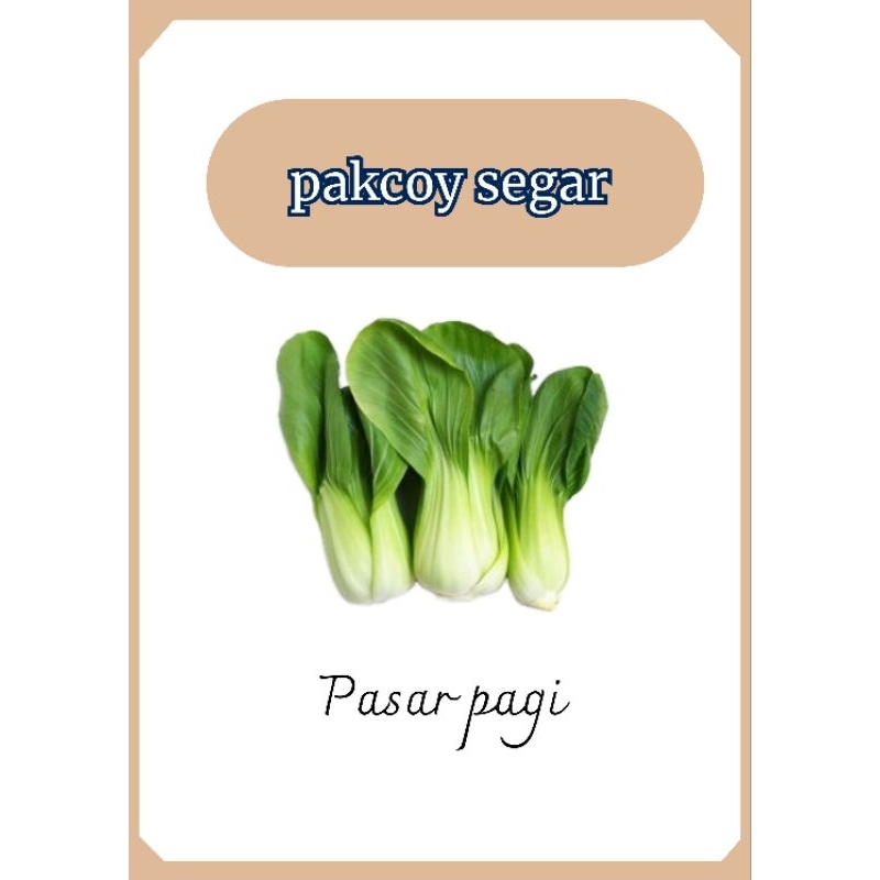 

Pakcoy segar
