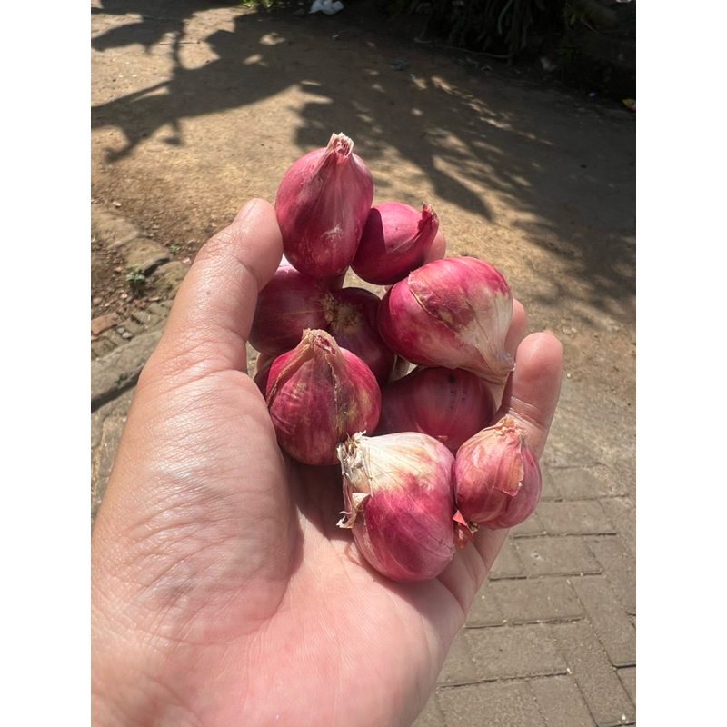 

bawang merah probolinggo kualitas premium 500g wajib chat sblm order hrga berubah tiap hari