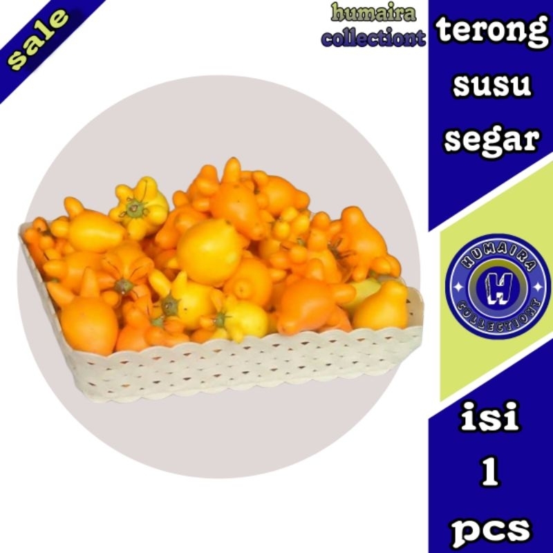 

Buah Terong Susu 10 Pcs Humaira Collectiont
