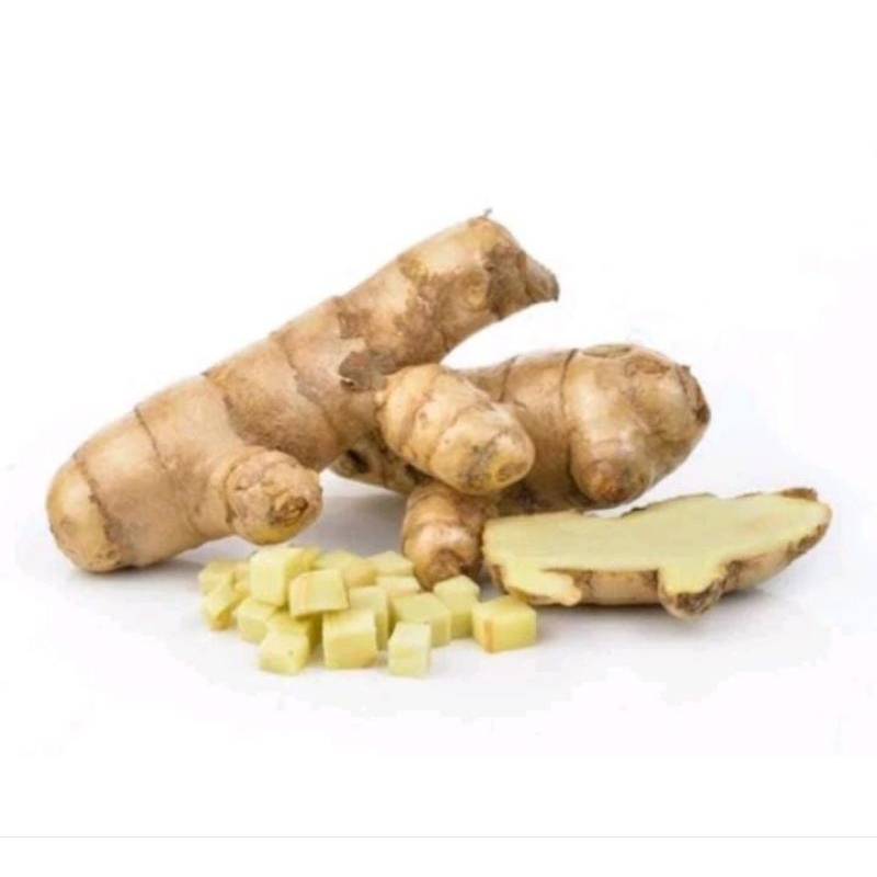 

Bisa cod 1 kg TEMU PUTIH SEGAR CURCUMA ZEDOARIA FRESH KUNYIT KUNIR PUTIH