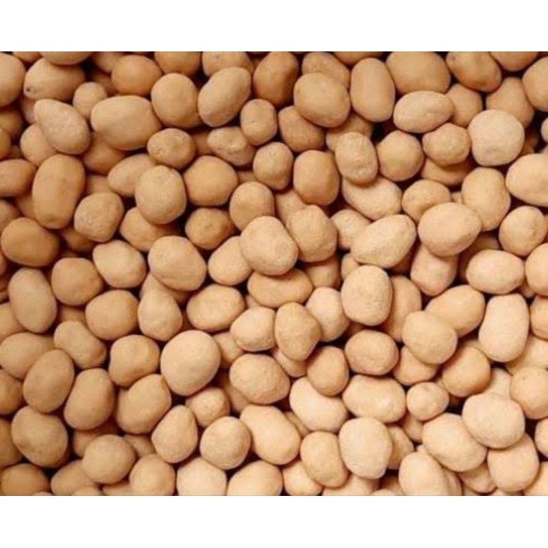 

Kacang Telur/Kacang Oven