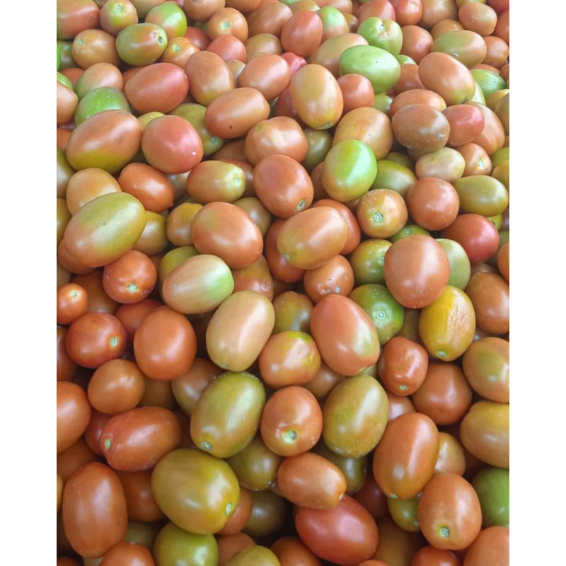 

tomat buah