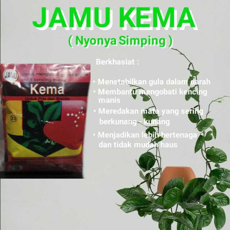 

Jamu Kema Nyonya Simping