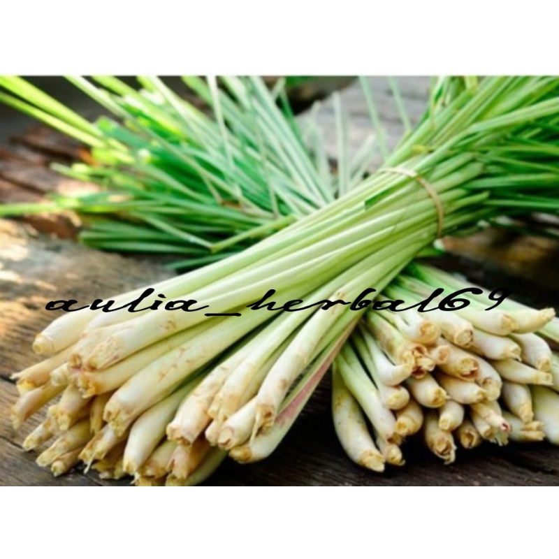 

Serai bumbu segar 500gr penyedap rasa masakan