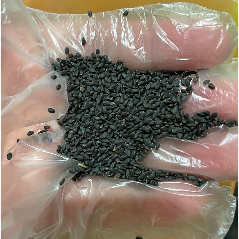 

Biji Selasih / Chia Seed Repack Premium