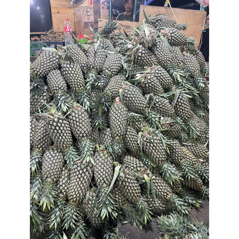 

1 buah NANAS PALEMBANG JUMBO kupas 1 KG