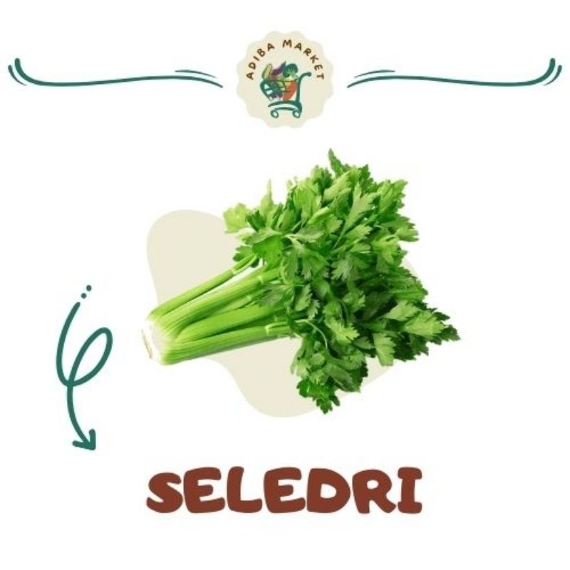 

Seledri (100gr / 250gr / 500gr / 1kg)