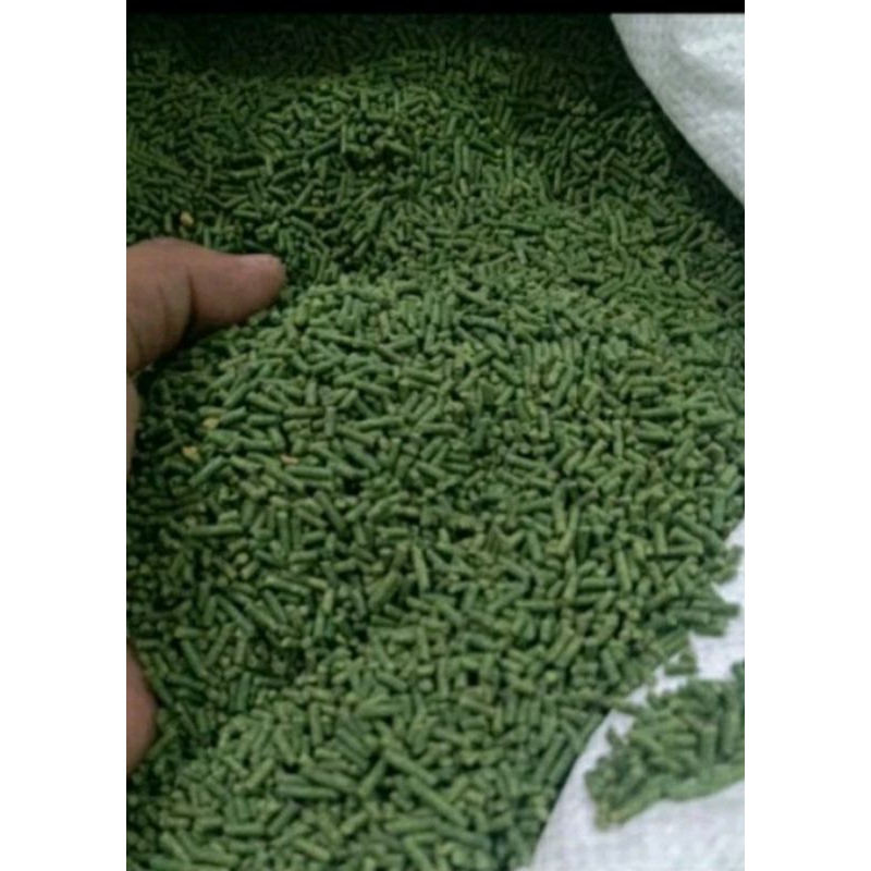 Pur Hijau 521 Voer Hijau Kiloan Pakan Burung