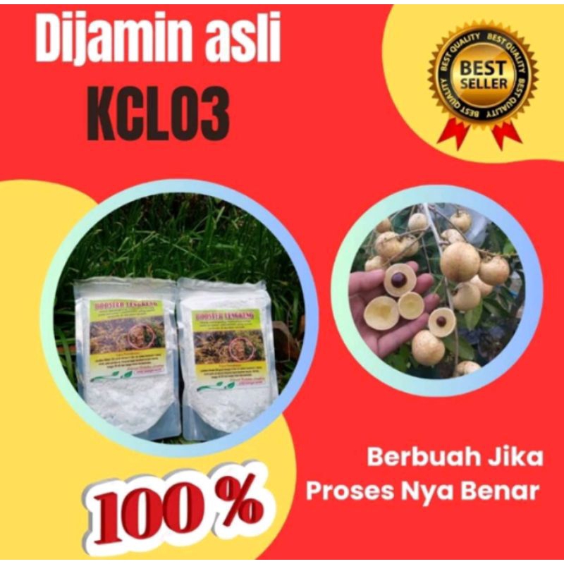 PENGIRIMAN CEPAT.. Booster Klengkeng Kclo3, Booster Klengkeng Murni