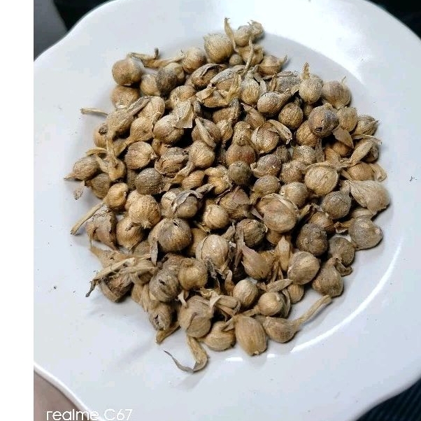 

Kapolaga kering berat isi 50 gram