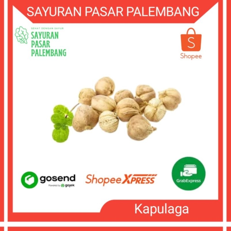 

Kapulaga - Sayuran Pasar Palembang