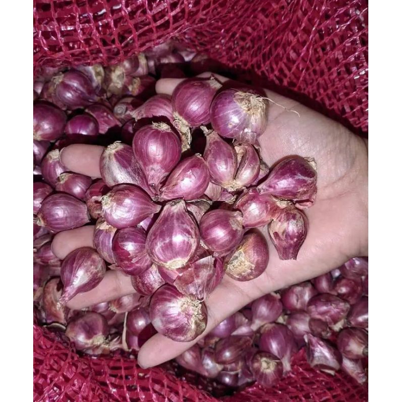

Bawang merah kiloan hasil panen superr