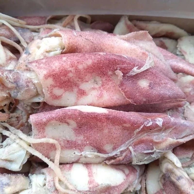 

GROSIR!!! 1 KG IKAN CUMI ASIN / Cumi Asin Murah / Cumi Asin Enak / Cumi Asin Gurih