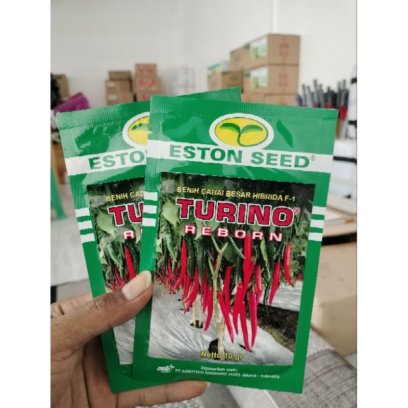 

Cabe Besar Turino Reborn 10gr Eston Seed Original Pabrik