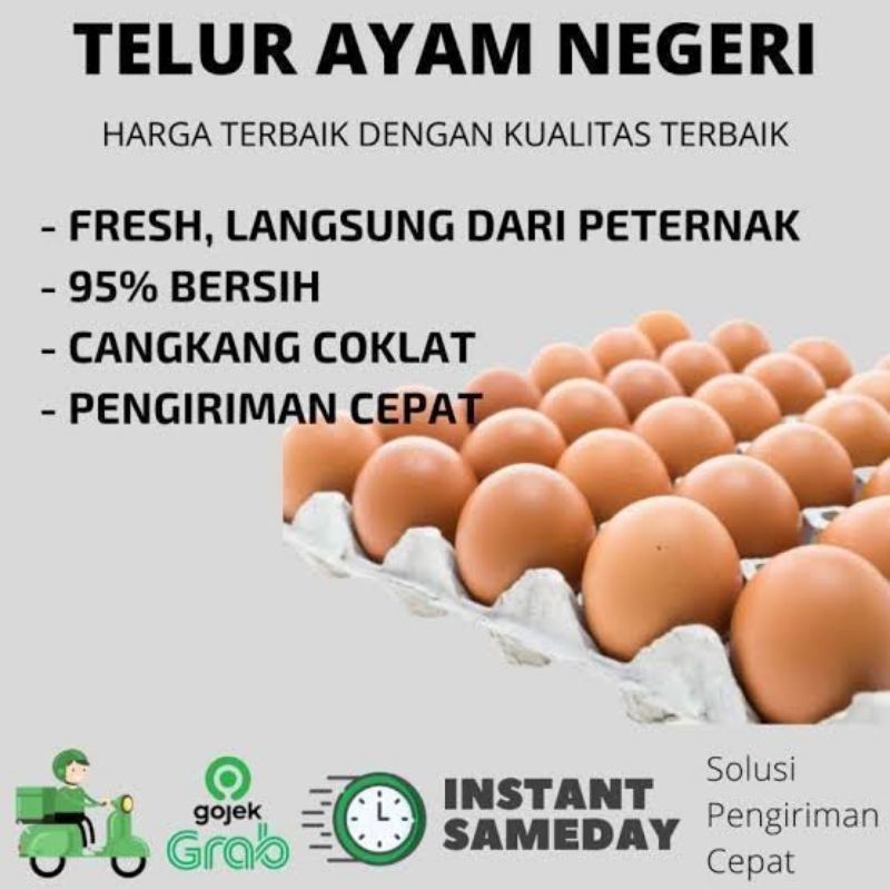 

Telur ayam negeri 30 butir termurah