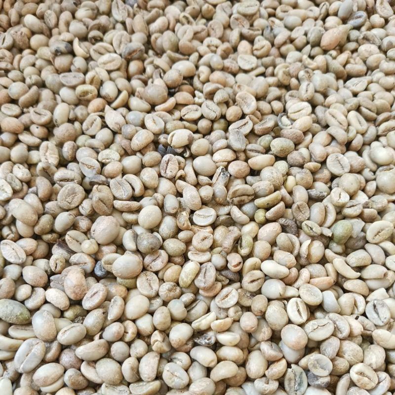 

green bean robusta asalan G3