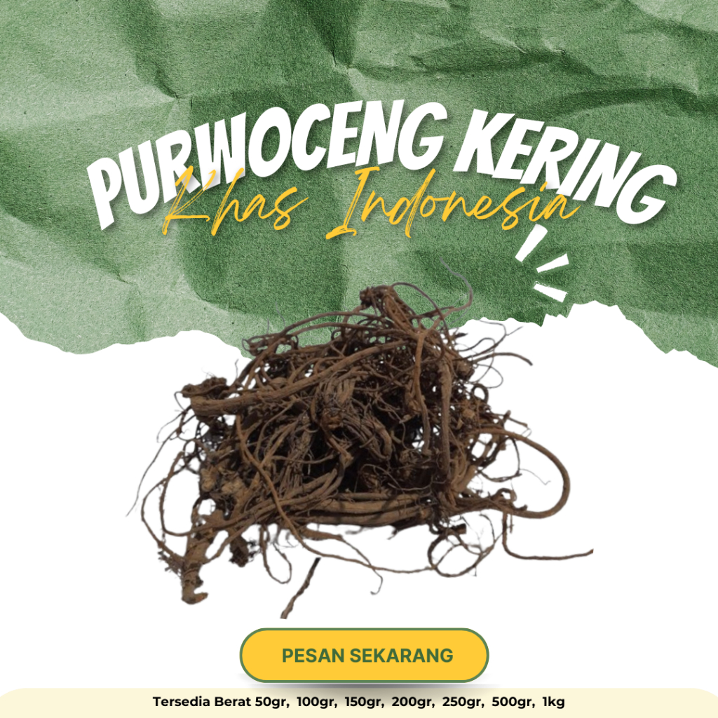 

REMPAH HERBAL ALAMI AKAR PURWOCENG KERING