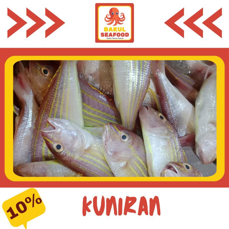 

KUNIRAN 500GR-1000GR