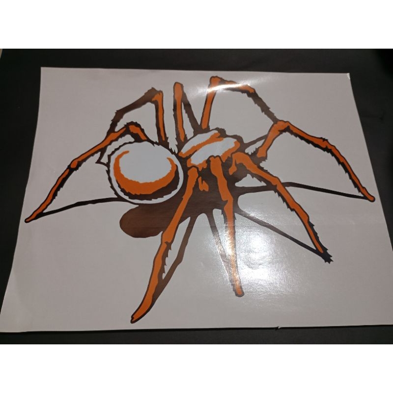 

stiker vinyl gambar besar (laba-laba coklat)